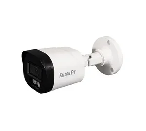 IP Cameras